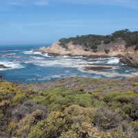 Cali Monterey