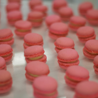 Luke Aaron Party Pics