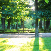 Jardin du Luxembourg Paris