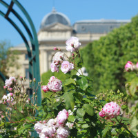 Paris Jardin des Plantes