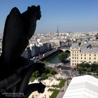 Paris Blog Day 5 Notre Dame--12