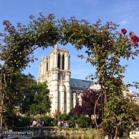 Paris Blog Day 5 Notre Dame--12