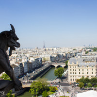 Paris Blog Day 5 Notre Dame--4