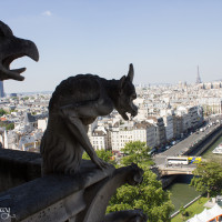 Paris Blog Day 5 Notre Dame--4
