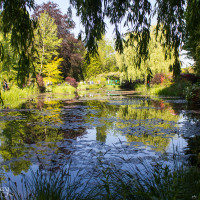 Monet's Garden Giverny