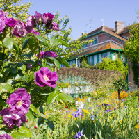 Monet Garden Blog--6